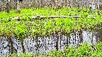 mizubasho7-20250425100041.jpg