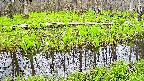 mizubasho7-20250425102040.jpg