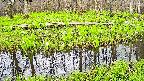 mizubasho7-20250425104042.jpg