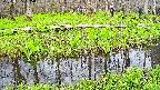 mizubasho7-20250425105039.jpg
