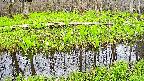 mizubasho7-20250425110041.jpg