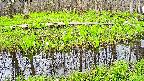 mizubasho7-20250425111041.jpg