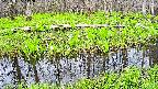 mizubasho7-20250425112038.jpg