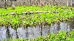 mizubasho7-20250425113039.jpg