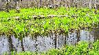mizubasho7-20250425114040.jpg