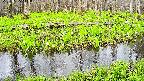 mizubasho7-20250425115040.jpg