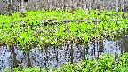 mizubasho7-20250425120040.jpg