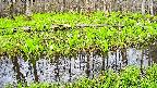 mizubasho7-20250425123041.jpg