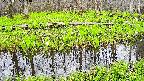 mizubasho7-20250425124040.jpg