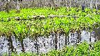mizubasho7-20250425125041.jpg