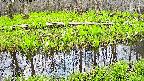 mizubasho7-20250425133044.jpg
