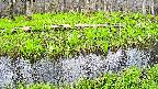 mizubasho7-20250425141041.jpg