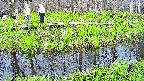 mizubasho7-20250425142039.jpg