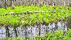 mizubasho7-20250425143042.jpg