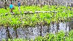 mizubasho7-20250425152041.jpg