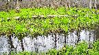 mizubasho7-20250425155040.jpg