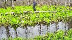mizubasho7-20250425160038.jpg