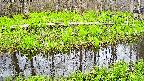 mizubasho7-20250425161041.jpg