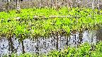 mizubasho7-20250425162040.jpg