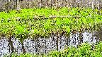mizubasho7-20250425164039.jpg