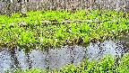 mizubasho7-20250425180040.jpg