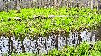 mizubasho7-20250426083041.jpg