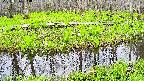 mizubasho7-20250426084041.jpg