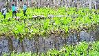 mizubasho7-20250426092040.jpg