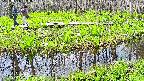 mizubasho7-20250426094042.jpg