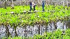 mizubasho7-20250426095044.jpg