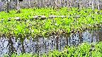 mizubasho7-20250426100041.jpg