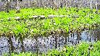 mizubasho7-20250426104041.jpg