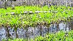mizubasho7-20250426110040.jpg