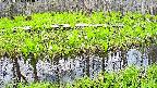 mizubasho7-20250426113043.jpg