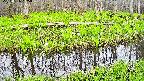 mizubasho7-20250426125042.jpg