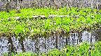 mizubasho7-20250426132041.jpg