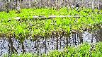 mizubasho7-20250426141042.jpg