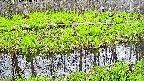 mizubasho7-20250426153045.jpg