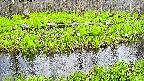 mizubasho7-20250426165042.jpg