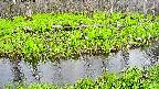mizubasho7-20250426171040.jpg