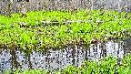 mizubasho7-20250426173041.jpg