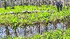 mizubasho7-20250427100040.jpg