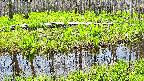 mizubasho7-20250427110041.jpg