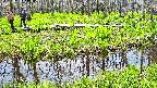 mizubasho7-20250427113042.jpg