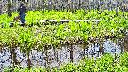 mizubasho7-20250427114040.jpg