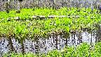 mizubasho7-20250427130045.jpg