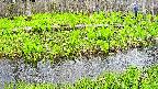 mizubasho7-20250427154040.jpg