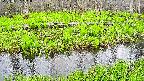 mizubasho7-20250427161041.jpg