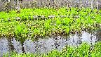 mizubasho7-20250427162039.jpg