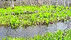 mizubasho7-20250427163038.jpg